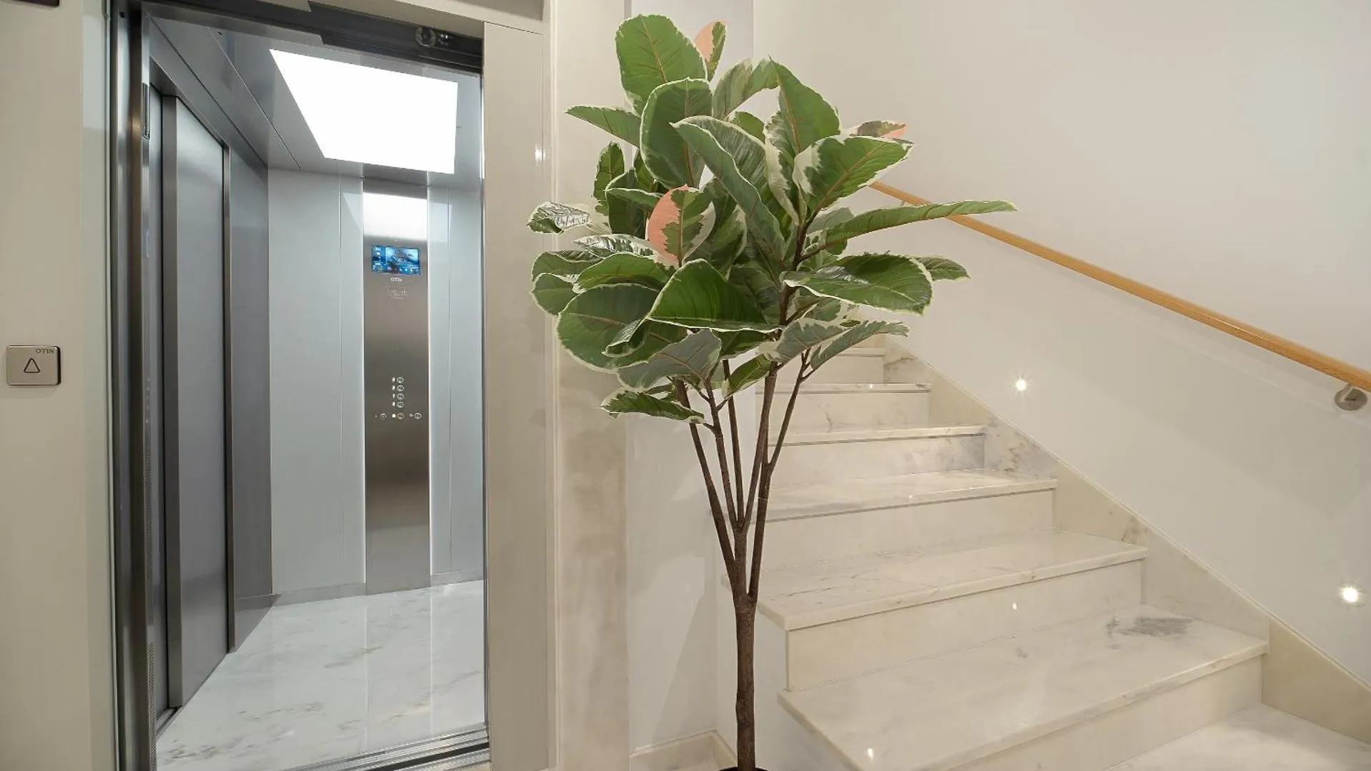 Safira Suites 101 Funchal  Lägenhet Funchal (Madeira)
