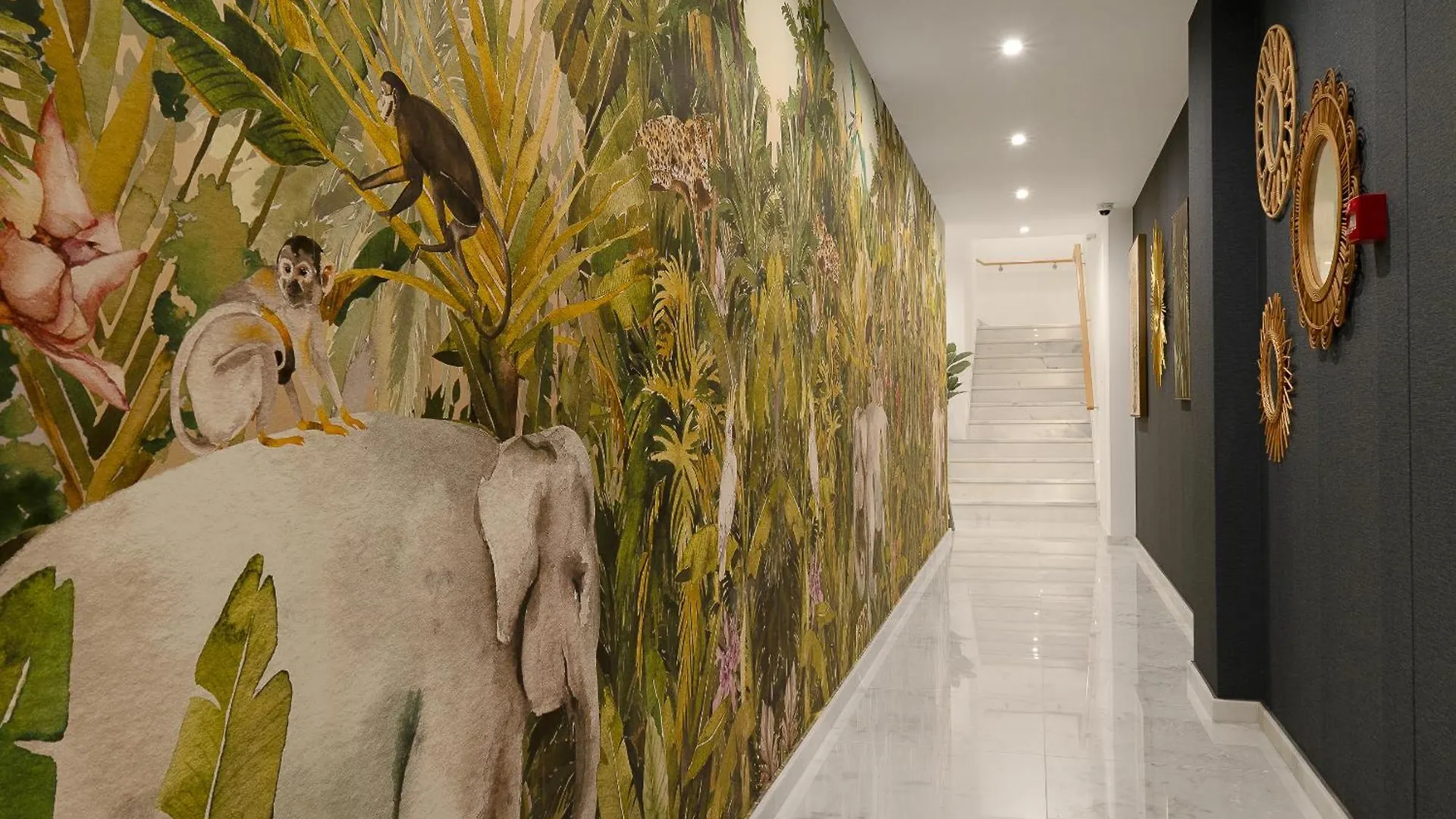 Safira Suites 101 Funchal  Funchal (Madeira)